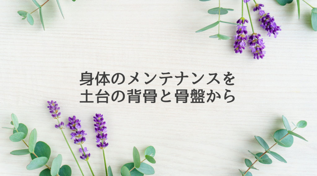 身体のメンテナンスを背骨と骨盤から