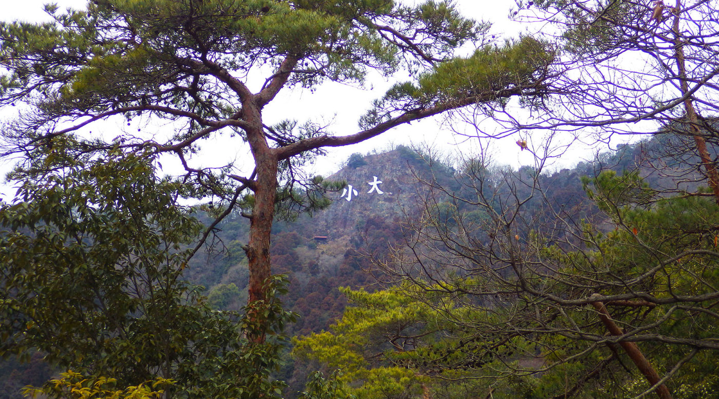 大小山