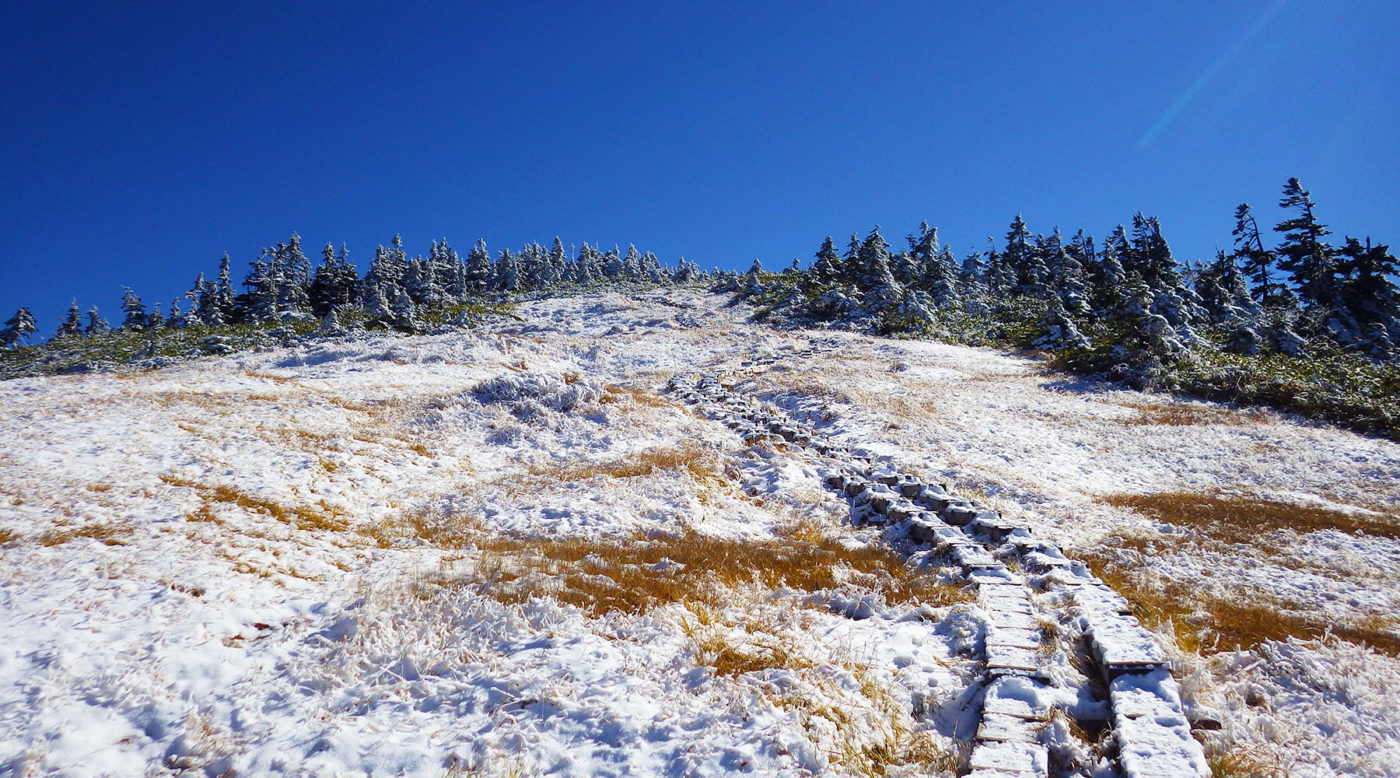 会津駒ヶ岳西側斜面の積雪
