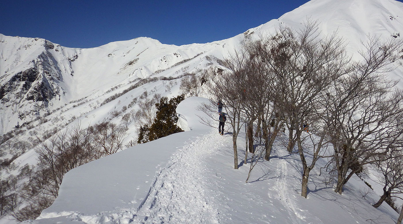 谷川岳・積雪期は尾根上のルートを通る